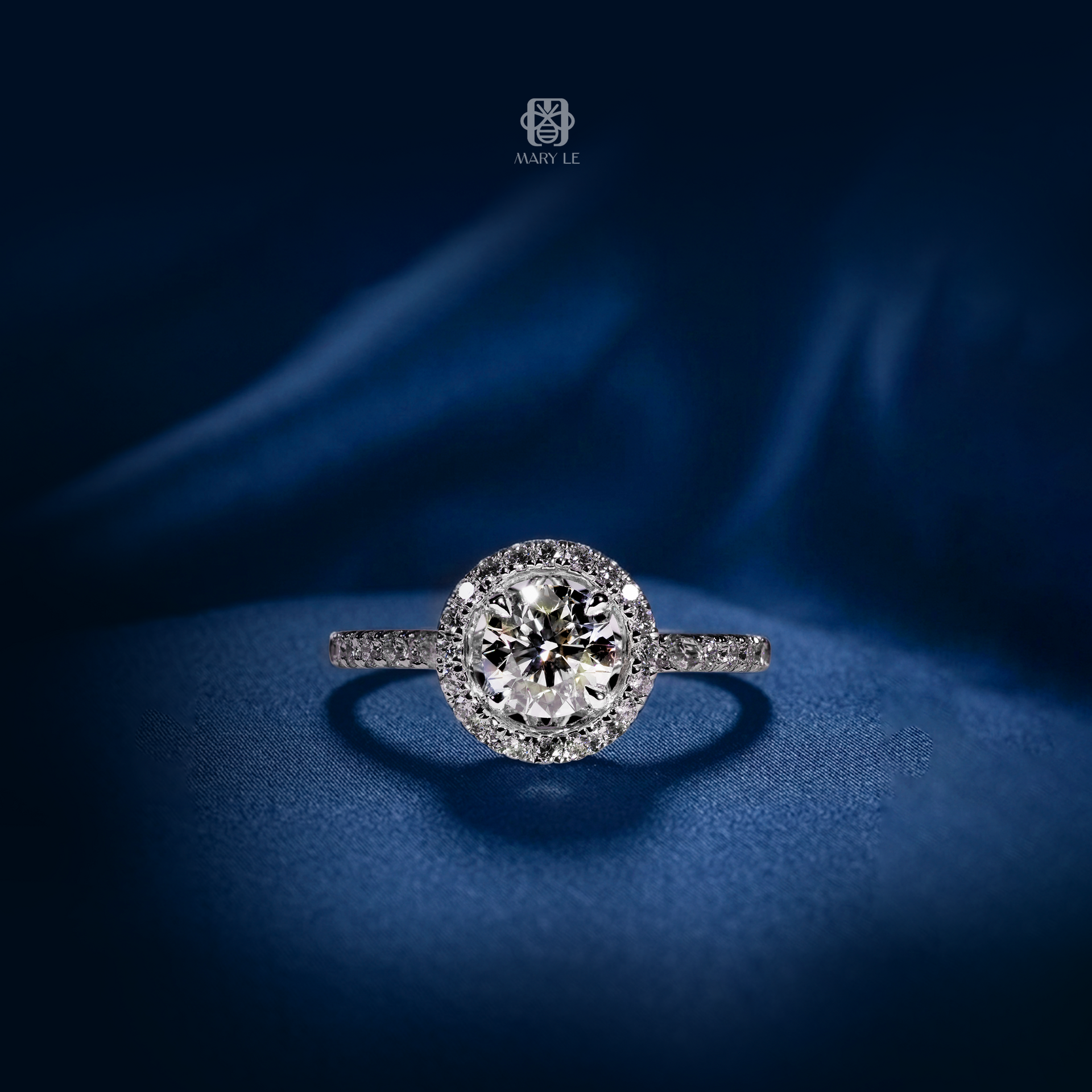The Halo Circle | M556