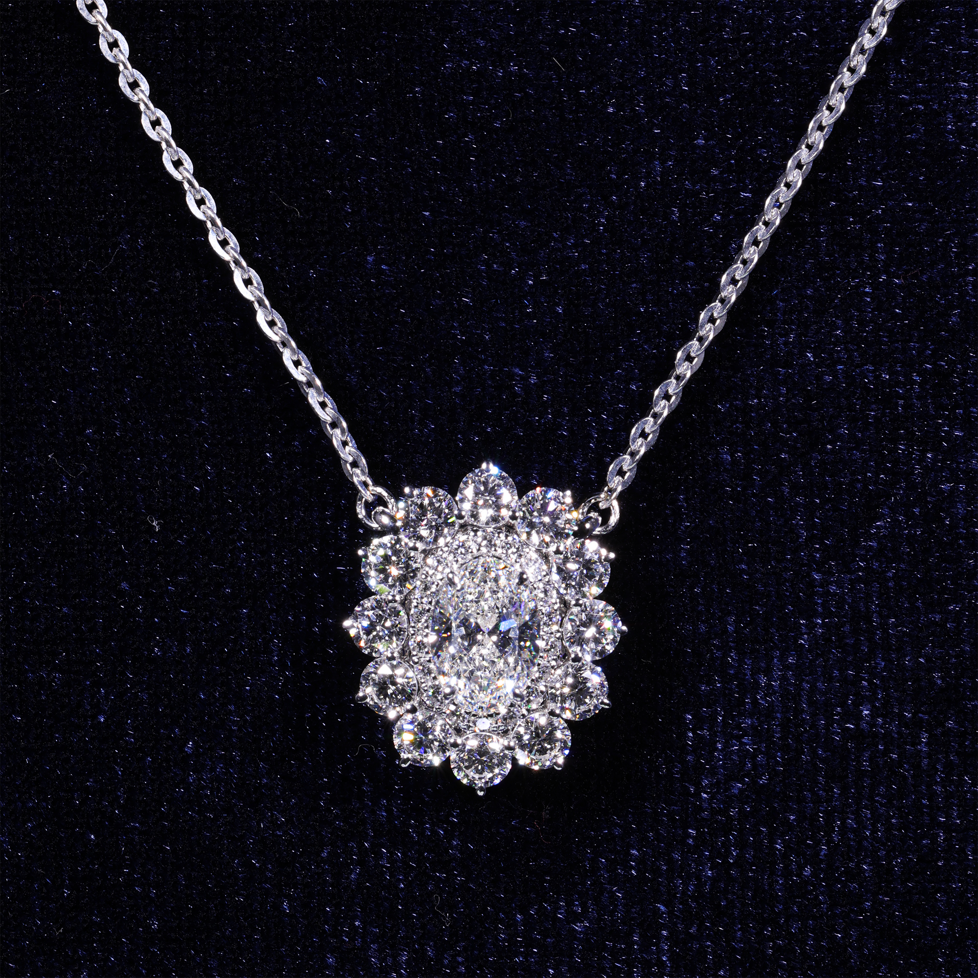 The Oval Bloom | M548