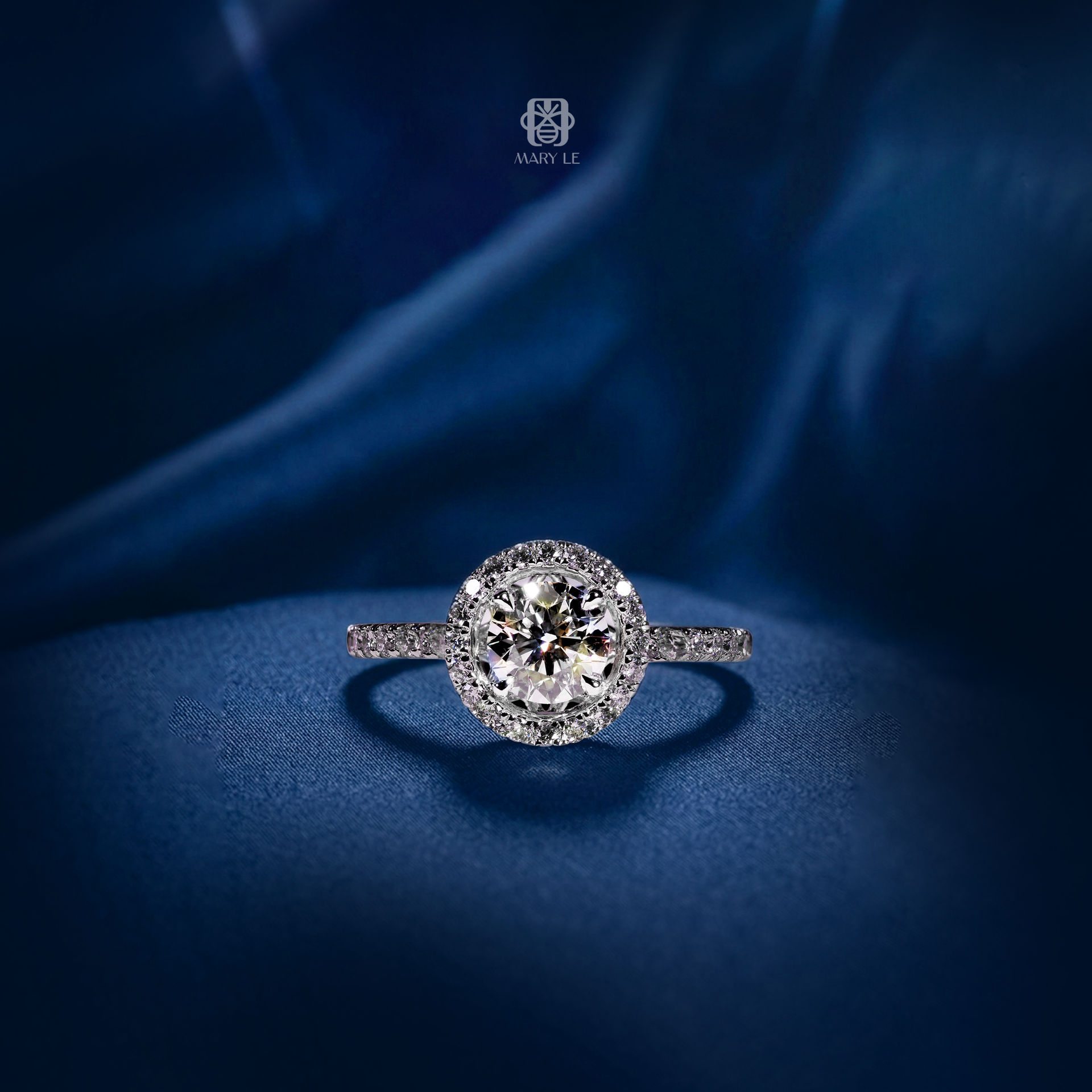 The Halo Circle | M556